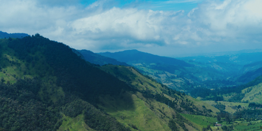 Fabulous Bean Coffee featuring an image with a colorful view of high-elevation mountainous coffee growing region with fair weather skies.